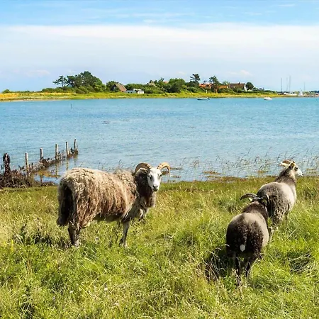 20609-samso-lapmejsevej-8 Tatil Evi *